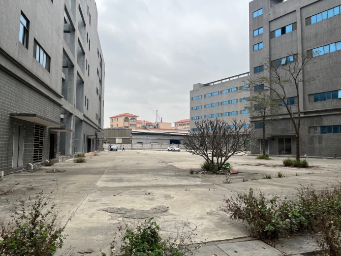 龙城国际
